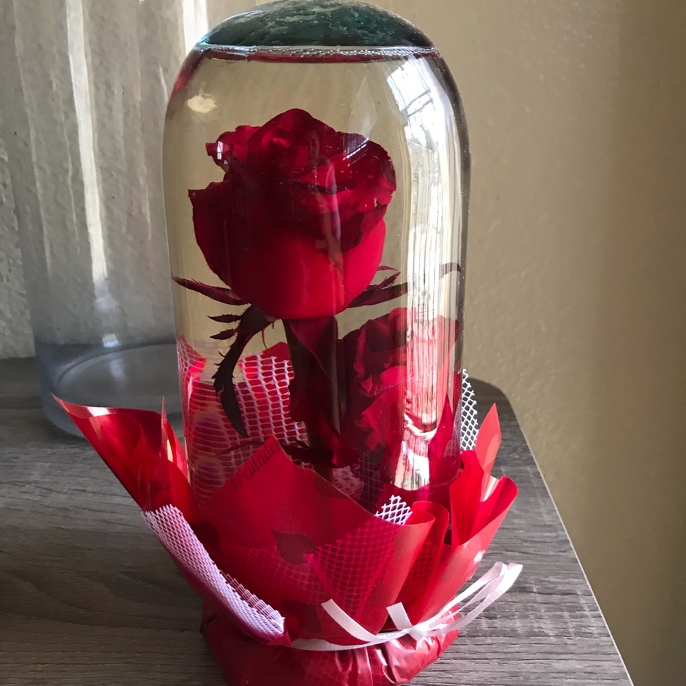 Real forever roses